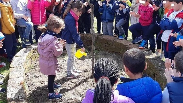 Un albero a scuola in memoria del maestro
