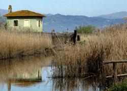 Giornata di fuoco nel Padule di Fucecchio 