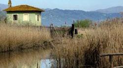 Giornata di fuoco nel Padule di Fucecchio