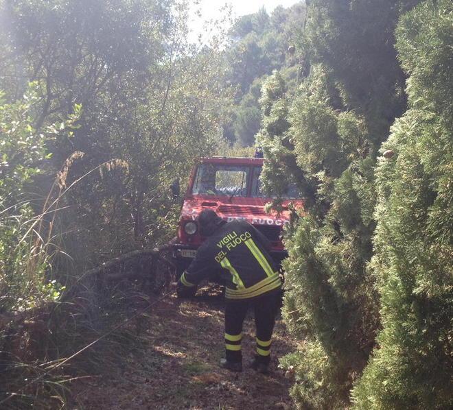 Incendi, Parco e Forestale in allarme 