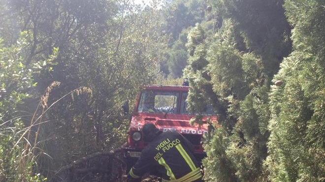 Incendi, Parco e Forestale in allarme