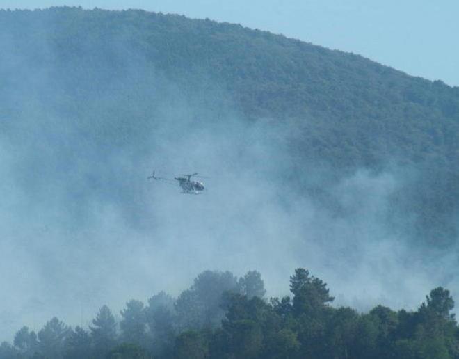 Quindici ettari di bosco distrutti da un incendio 