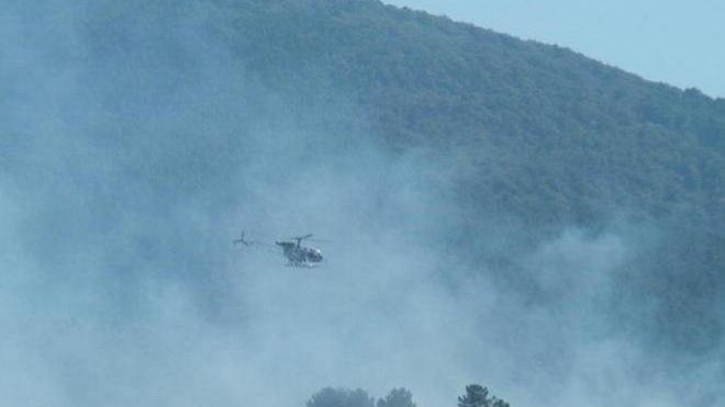 Quindici ettari di bosco distrutti da un incendio