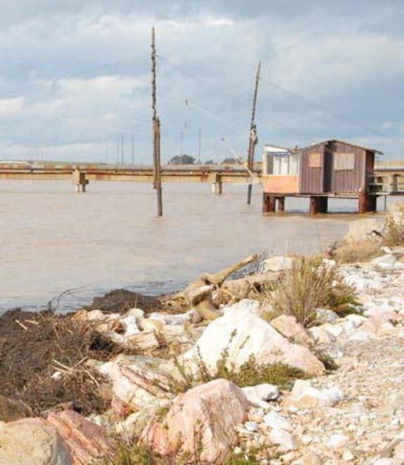 I sedimenti marini dalla foce del Cornia di nuovo in spiaggia 