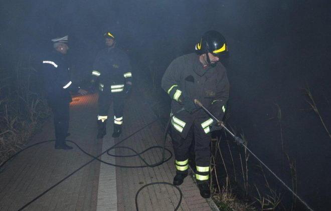 Distrutti due ettari di canneto