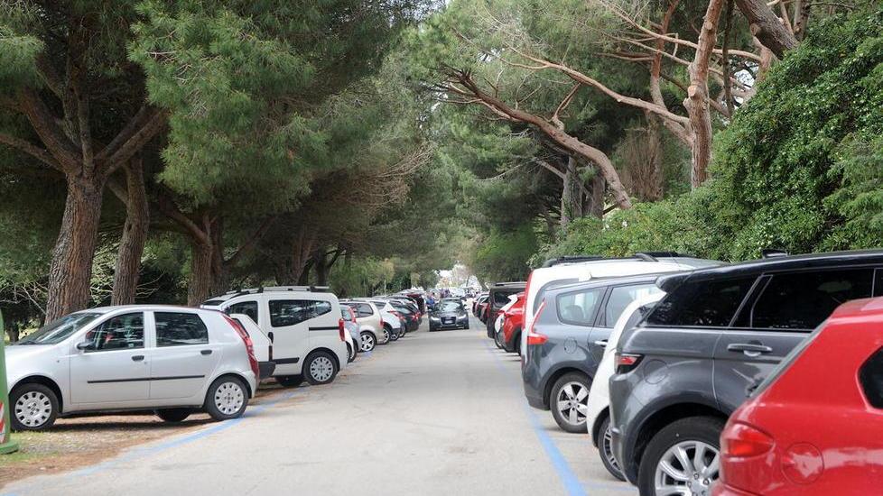 Ciclabile per Baratti e possibili espropri, Wwf e 5 Stelle sostengono il no dei residenti