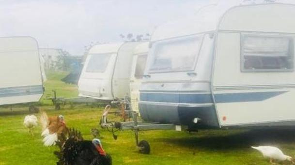 Nel parcheggio dei caravan tra sporcizia, polli e tacchini