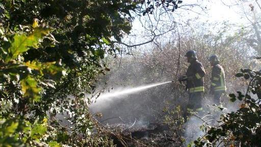 Ex barbiere dà fuoco al canneto