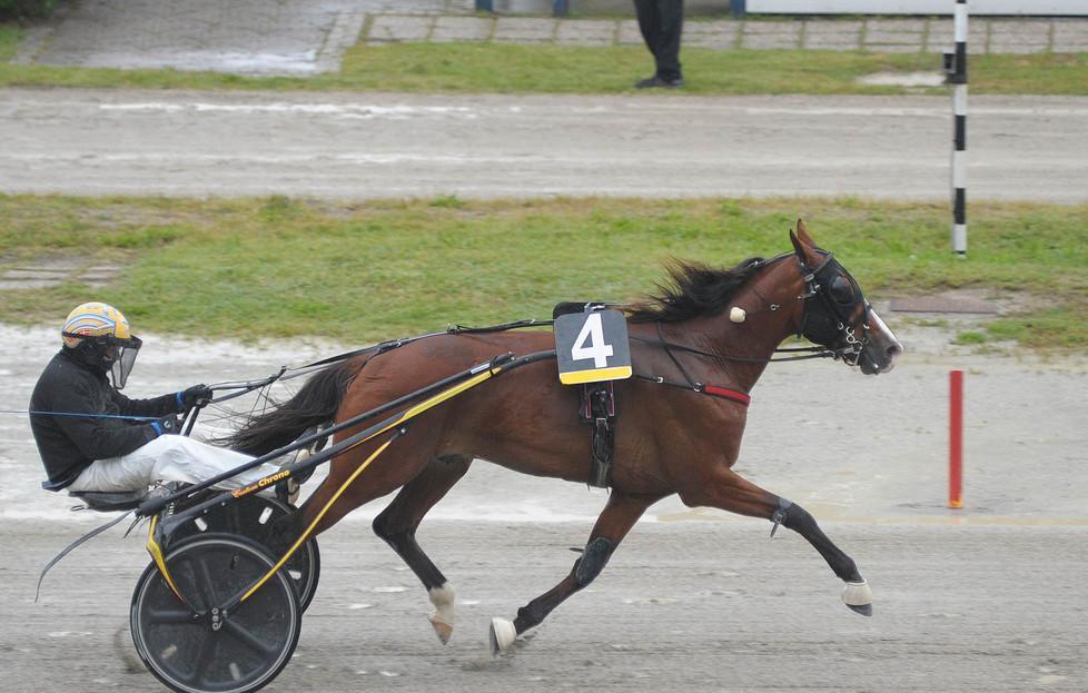 Il Gran Premio Giovanardi incorona Al Capone Stecca 