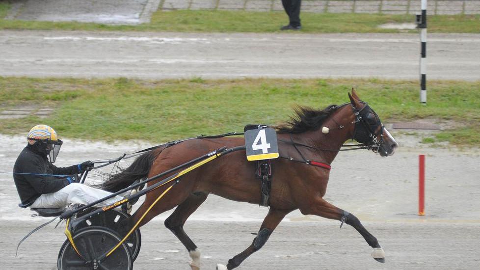 Il Gran Premio Giovanardi incorona Al Capone Stecca