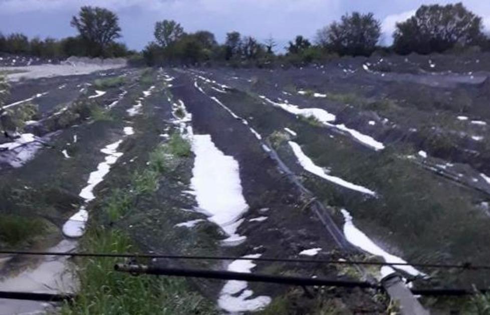 Frutteti e serre devastati Maltempo, bilancio pesante 