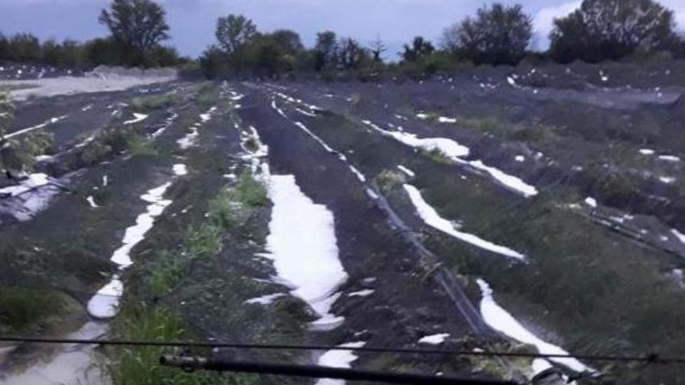 Frutteti e serre devastati Maltempo, bilancio pesante