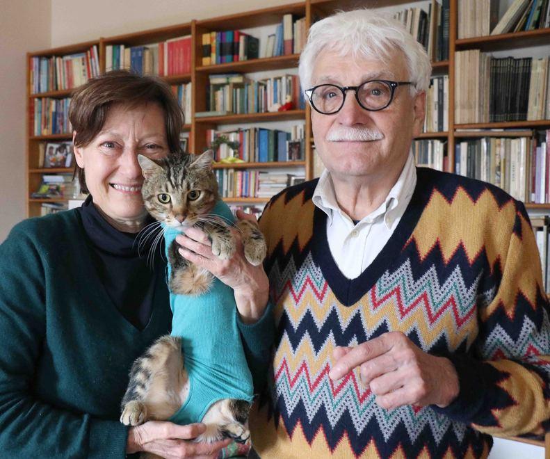 Il gatto Mirto ferito a colpi di carabina Operato e salvato 