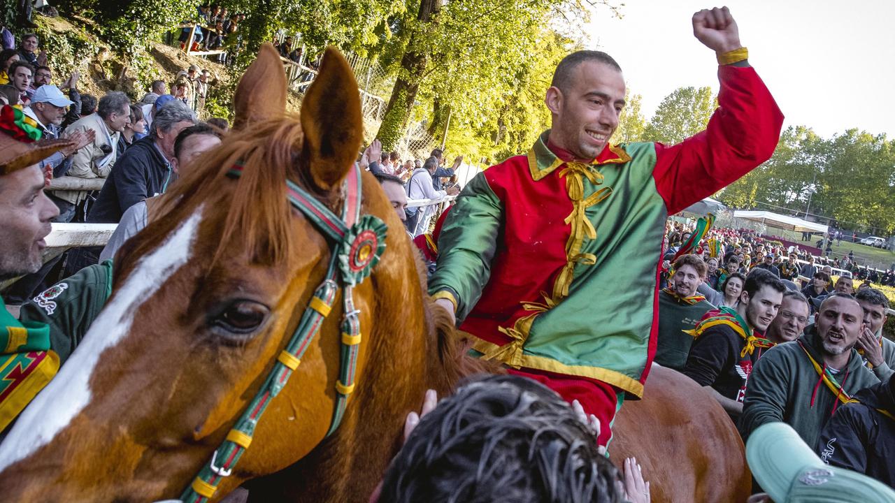 Palio di Fucecchio, chi è il cavallo eroe: "Valeva una crosta di formaggio, ora è fortissimo"