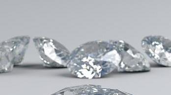 “Sciopero dei diamanti” truffati e bancari a Lucca manifestano insieme