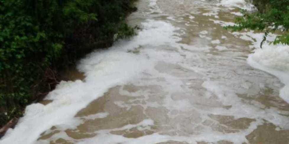 Sversamenti illegali nel Rio d’Orzo Una moria di pesci 