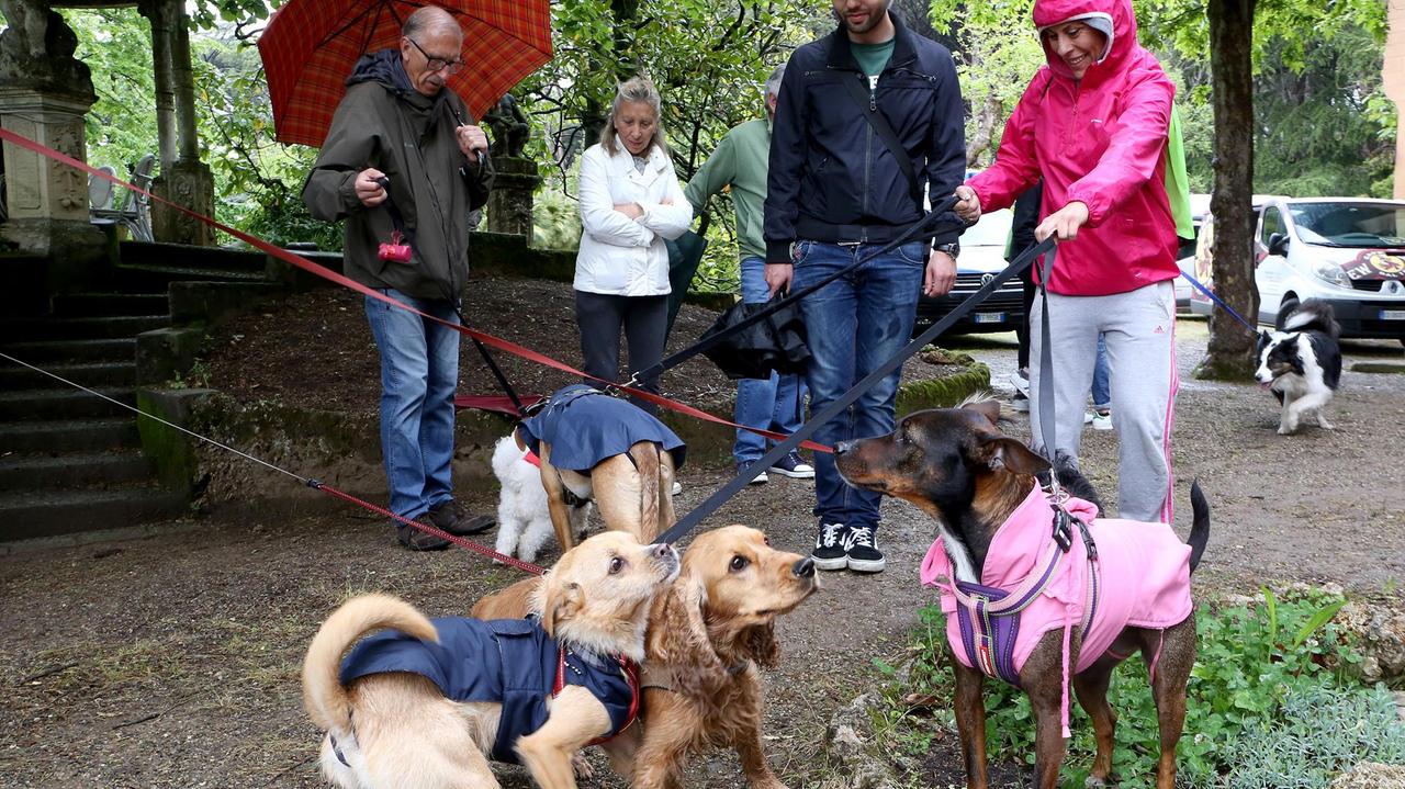 Passeggiata canina nel parco delle Tamerici (Foto Nucci)