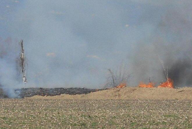 Fuoco e furti in Padule «Serve più controllo»