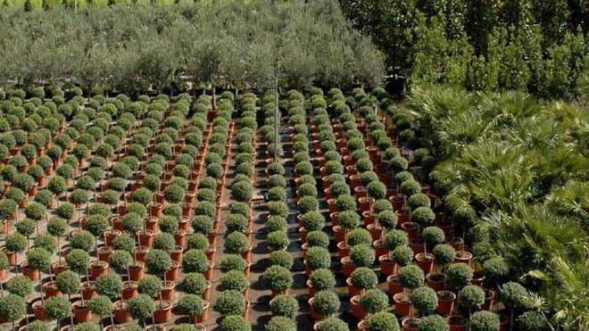 Imu, un Sos dal mondo agricolo
