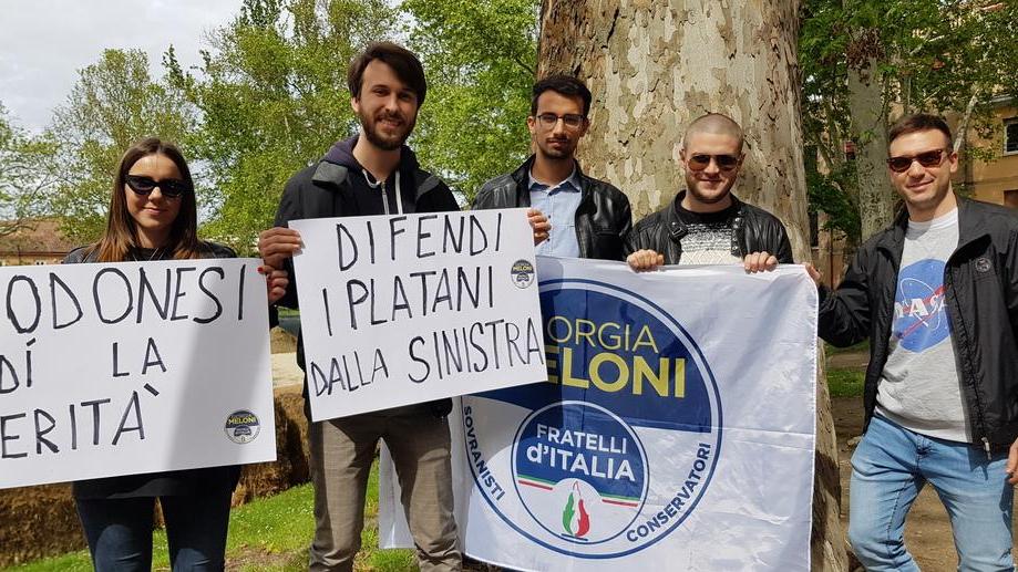 «Basta alberi abbattuti»