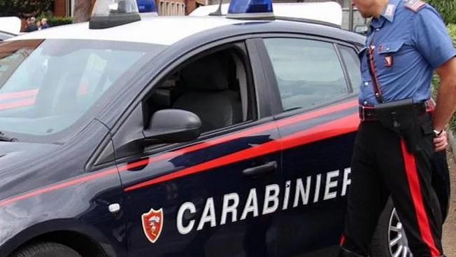 Razzie in decine di poderi: un arresto, caccia ai ricettatori