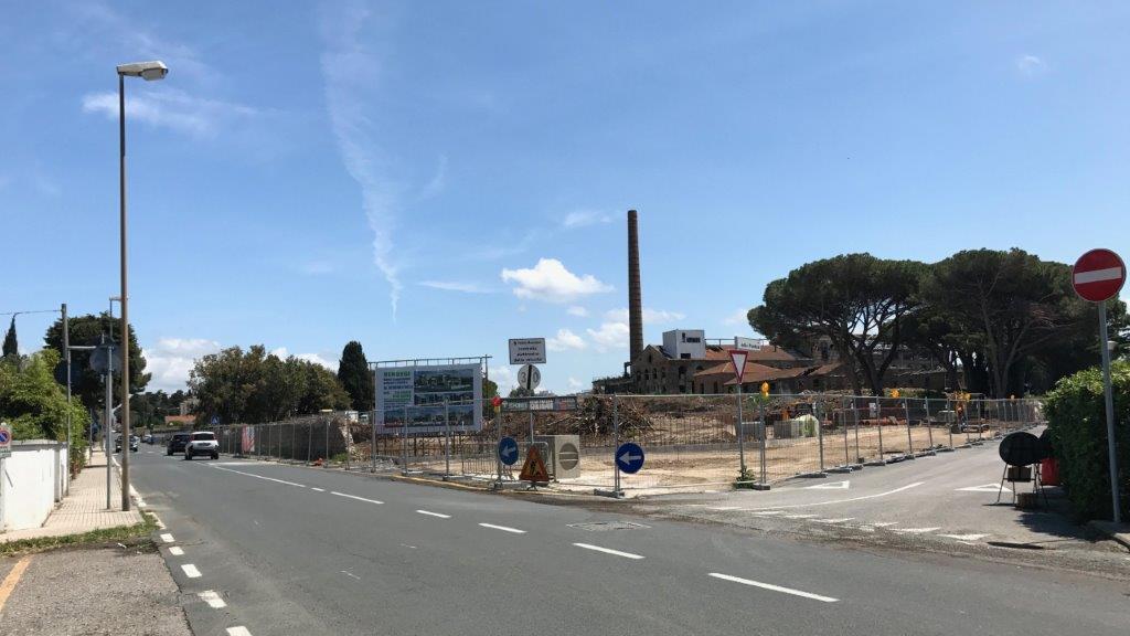 Ok alla riqualificazione, ma quei pini potevano essere salvati