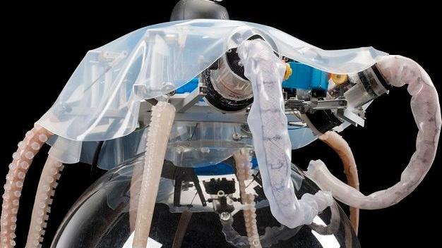 Il centro di robotica marina oggi apre le porte ai livornesi