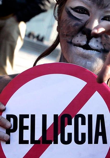 Anche Prada dice basta: non userà mai più le pellicce animali 