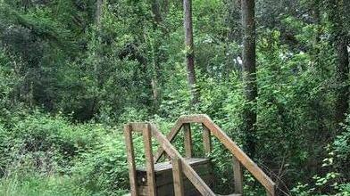 Percorsi vita nel parco in stato di abbandono