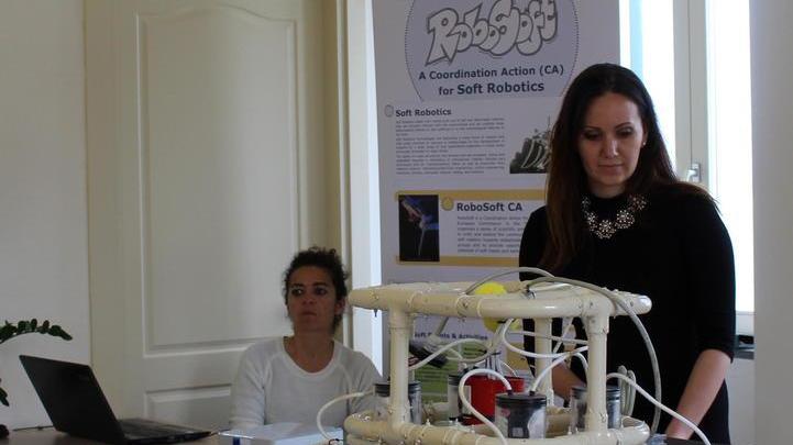Granchi robot per catturare la plastica fino alla Meloria