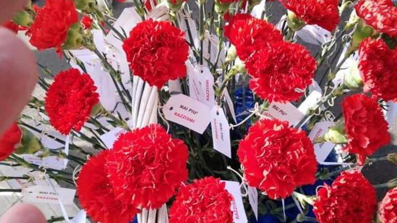 Regalano il fiore della resistenza al Mercato, «Un gesto di gentilezza per uscire dal buio»