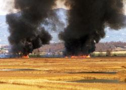 Incendi dolosi a ripetizione nel Padule scatta l’allarme 