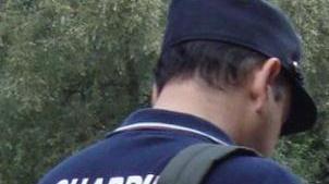 Altri dieci gatti scomparsi: due uccisi col veleno