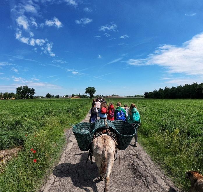 A dorso d’asino sul sentiero dedicato a Spallanzani 