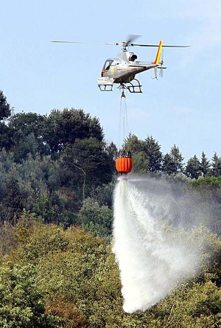 Persi 3 ettari di bosco tra Lizzano e Chiesina di Sant’Anna