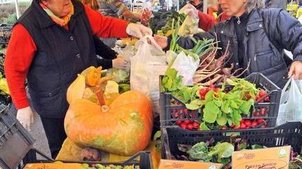 Sit in a tutela dell’agroalimentare di nostra produzione