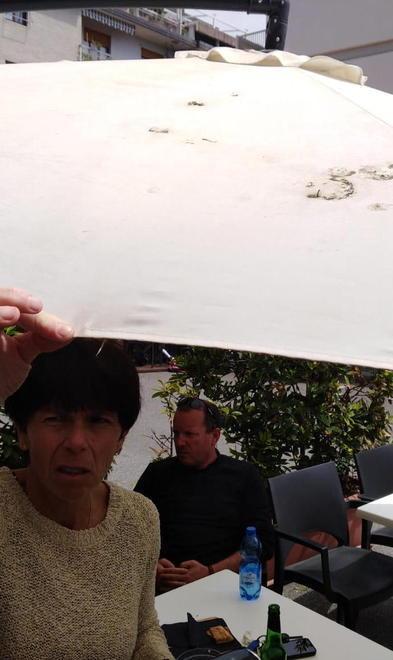 «Stop all’invasione di piccioni» A Marina l’incubo dei volatili 