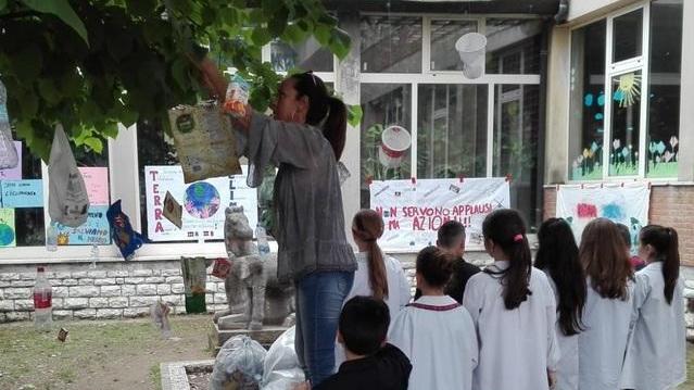 Quattro pulcini di falco salvati in una conceria