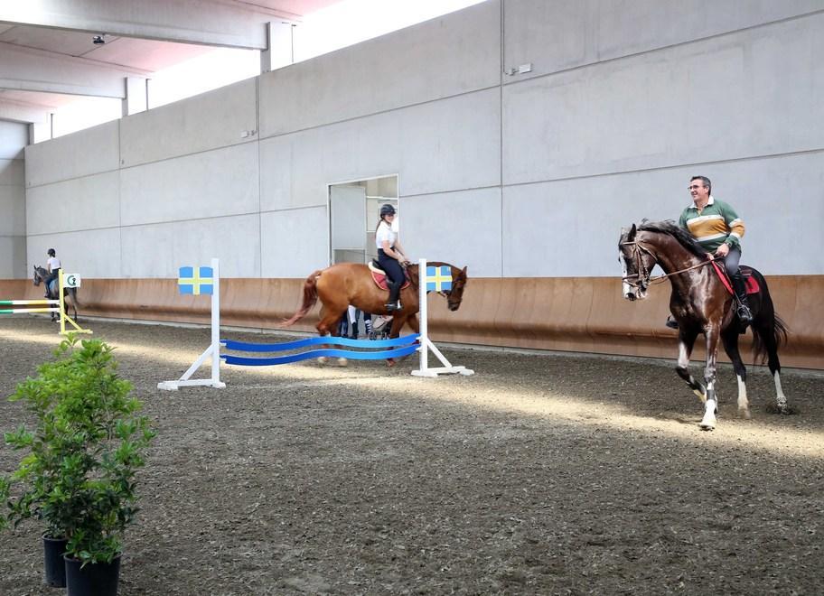 Equitazione e ippoterapia al posto della porcilaia 