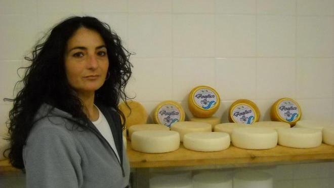 In difesa del vero pecorino agricoltori in piazza