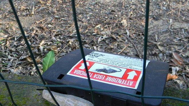 Scuole di Ronchi, sporco nel cortile ed esche topicide
