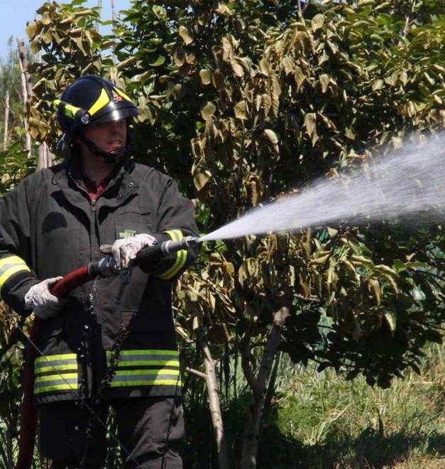 Brucia un canneto sull’Emilia a Colle Pompieri in azione