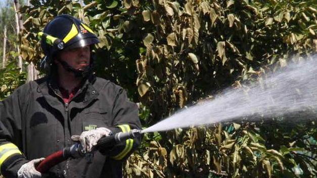 Brucia un canneto sull’Emilia a Colle Pompieri in azione