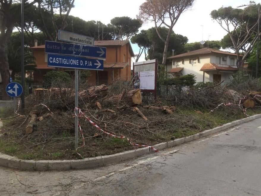 Petizione contro il piano antincendio «Abbattimenti insensati e contraddittori» 