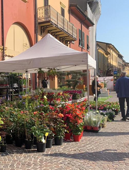 Fiori e giochi per bambini Si comincia camminando