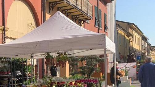 Fiori e giochi per bambini Si comincia camminando