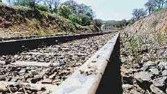 Un’invasione di bruchi ferma il treno Olbia-Sassari