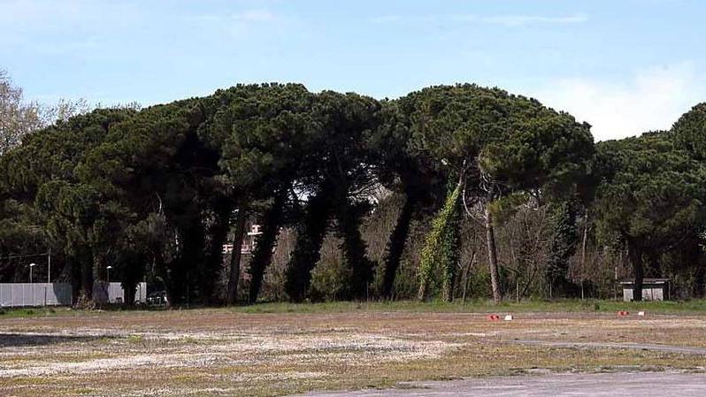 Apertura solo annunciata All’aeroporto non si volaOggi l’Enac fa il punto