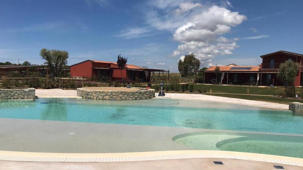 Apre un agriturismo dove gli ospiti fanno l’olio e si ritemprano con il sale