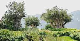 «Vivere vicino a Berlusconi è un inferno»